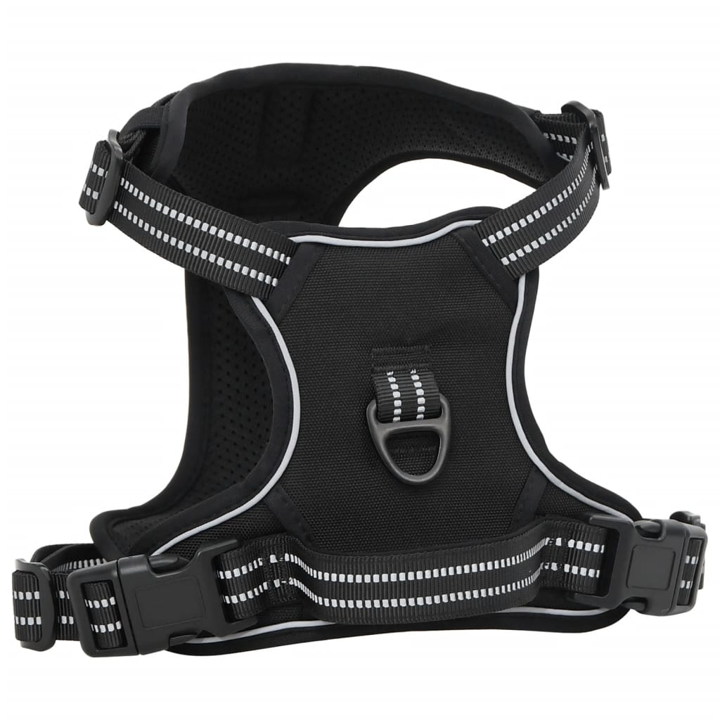 Harnais Pour Chien Avec Laisse Et Collier Réglables S