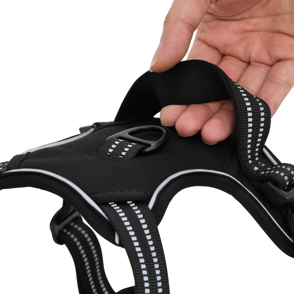 Harnais Pour Chien Avec Laisse Et Collier Réglables S