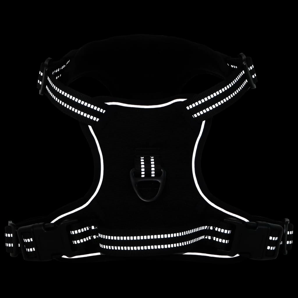 Harnais Pour Chien Avec Laisse Et Collier Réglables S
