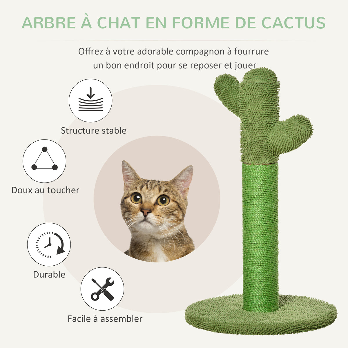 Griffoir pour Chat en Forme de Cactus