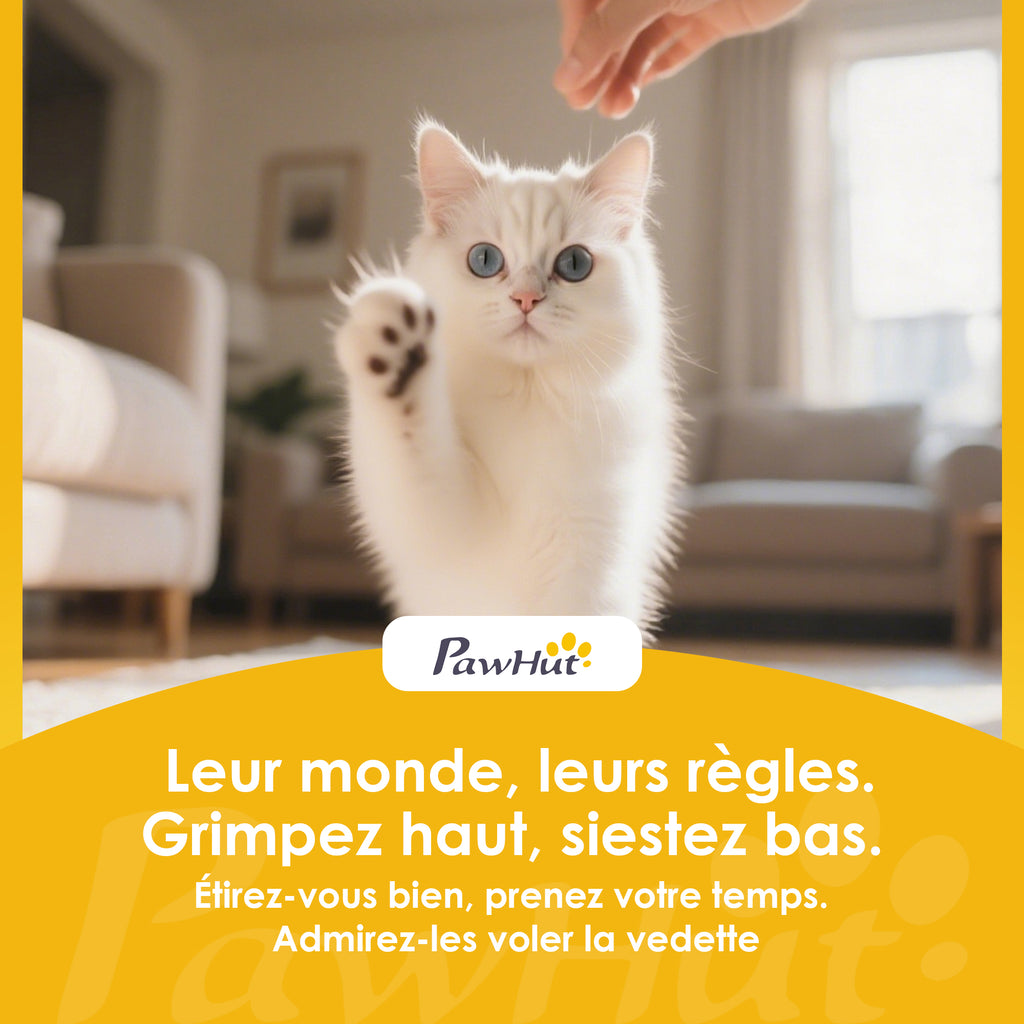 Lit pour Chat Réversible