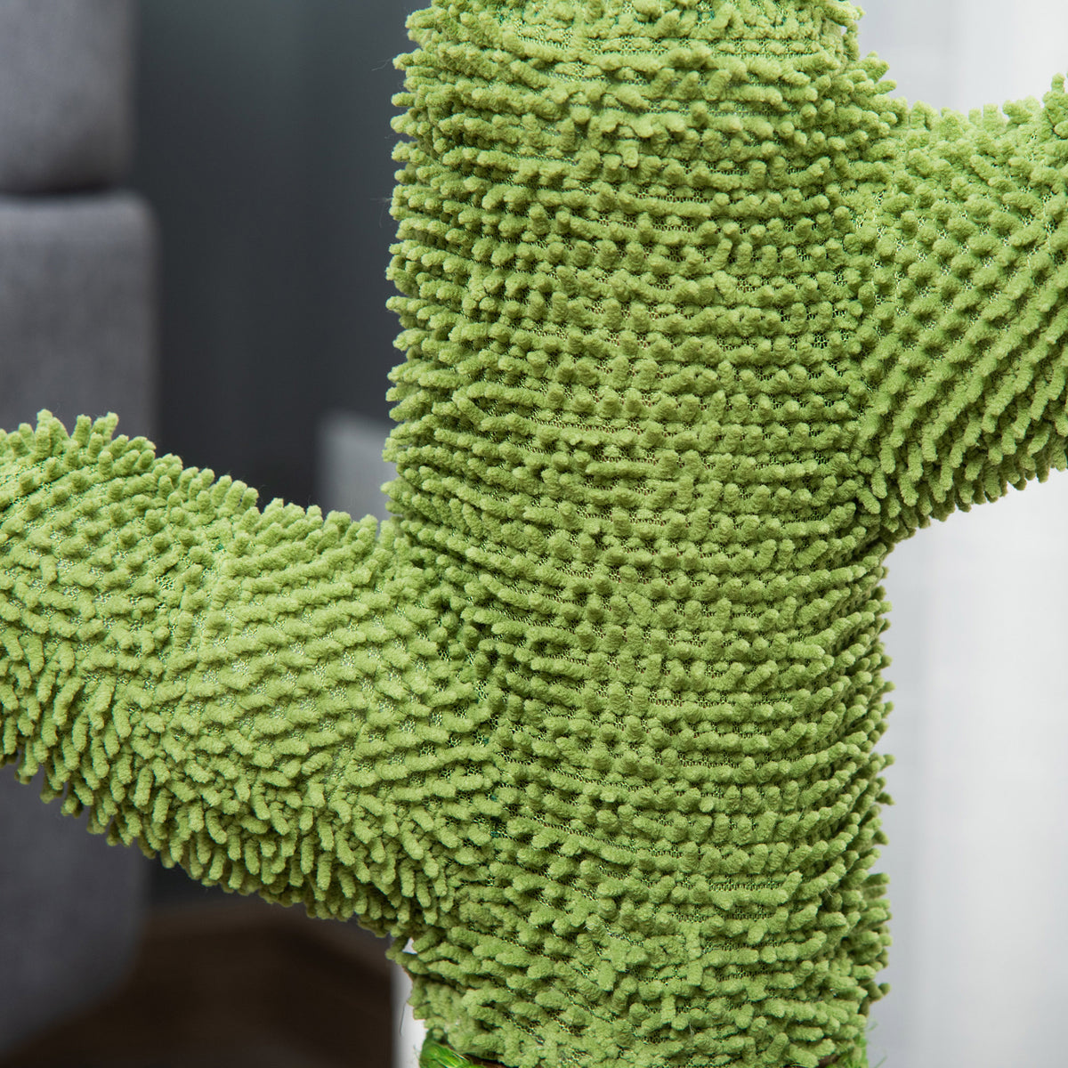 Griffoir pour Chat en Forme de Cactus