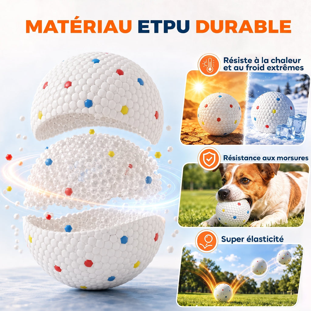 Lot de 6 Balles pour Chien