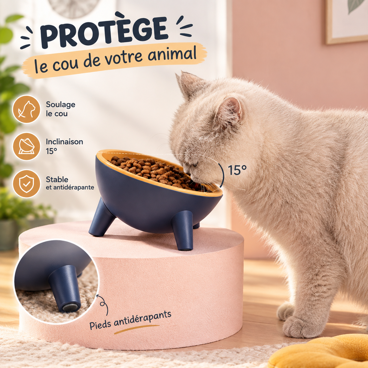 Gamelle Surélevée Design pour Chien et Chat