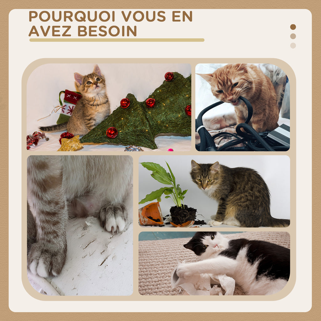 Arbre à Chat Griffoir