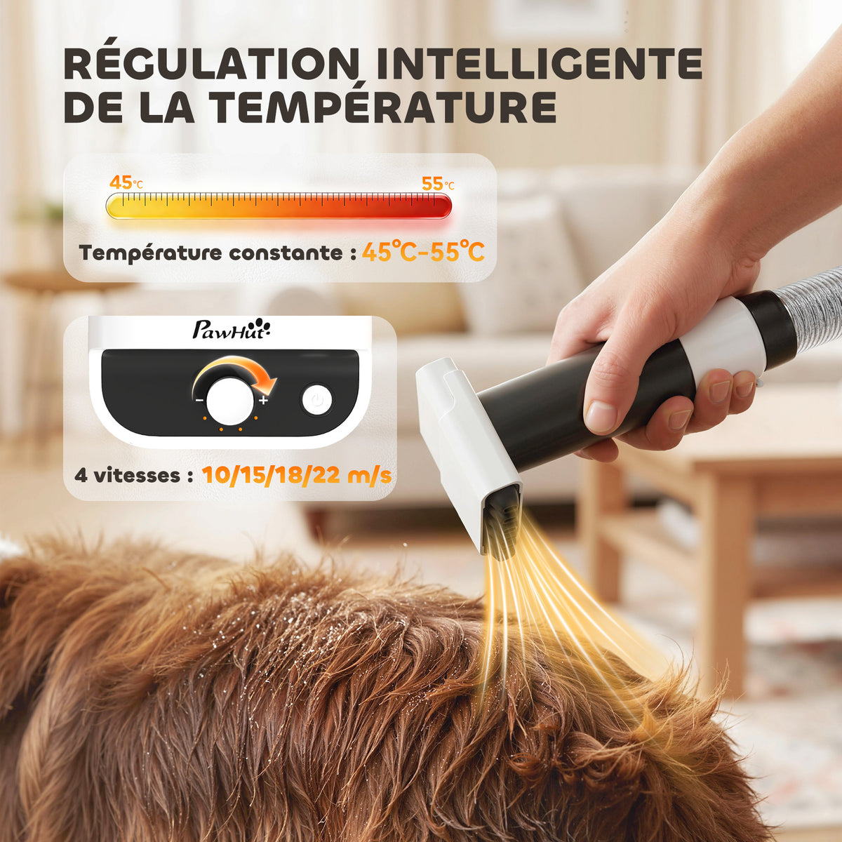 Aspirateur Poil de Chien et Séchoir 5-en-1