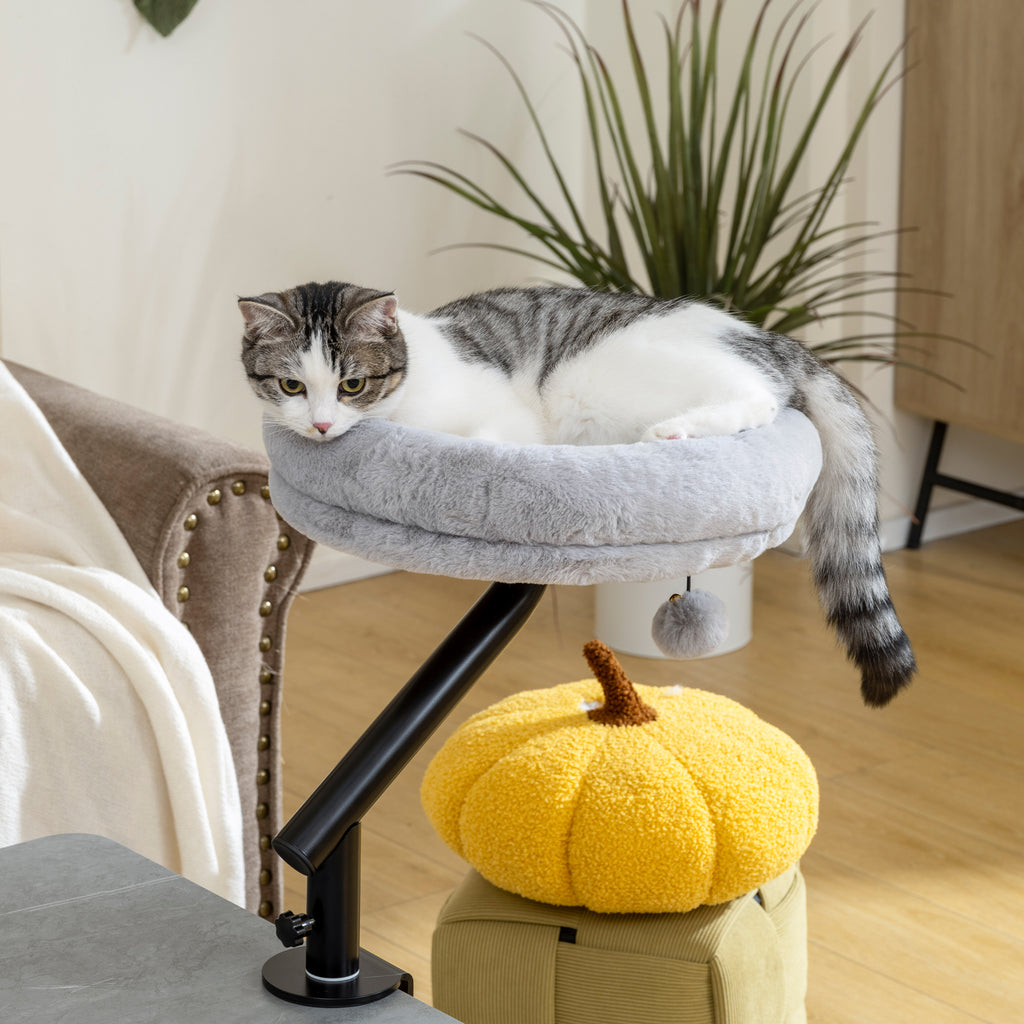 Lit de Bureau pour Chat