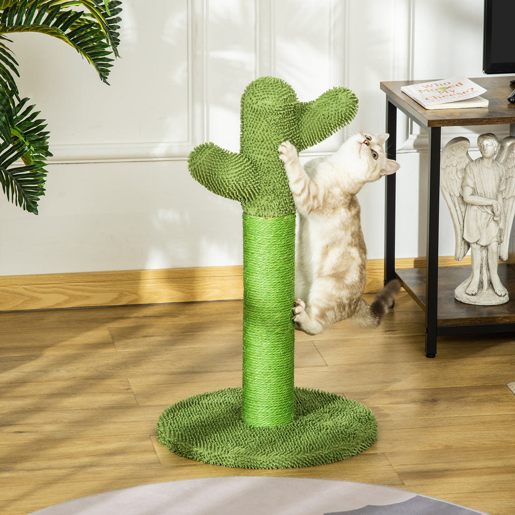 Griffoir pour Chat en Forme de Cactus