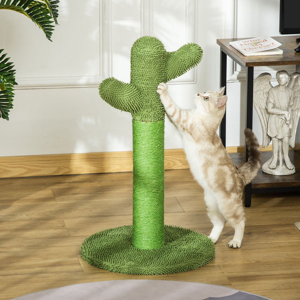 Griffoir pour Chat en Forme de Cactus