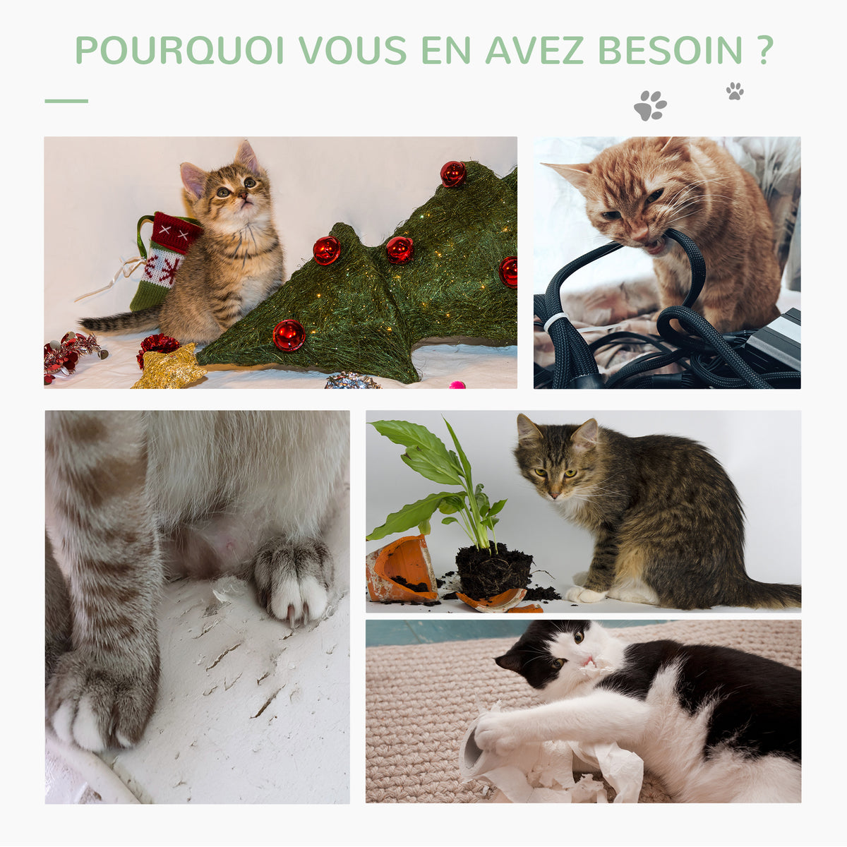 Griffoir pour Chat en Forme de Cactus