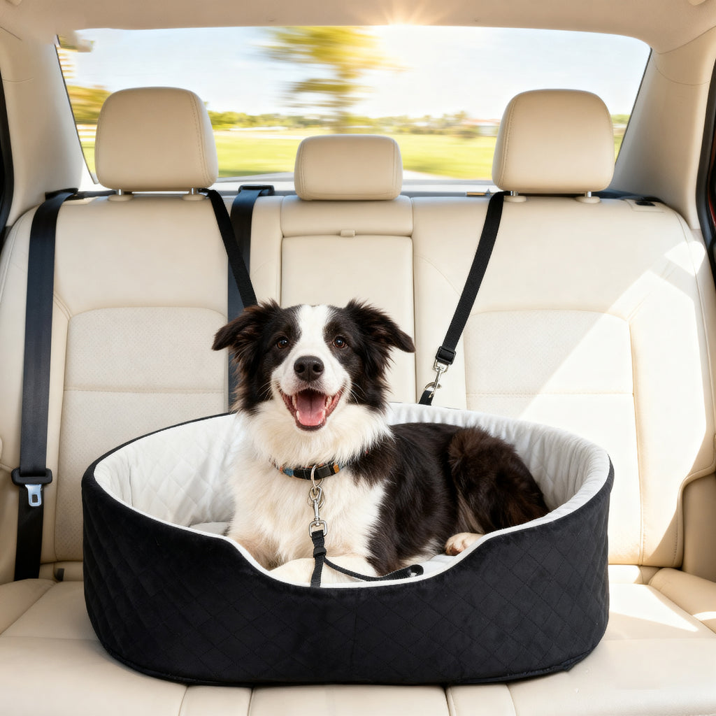 Siège Auto pour Chien