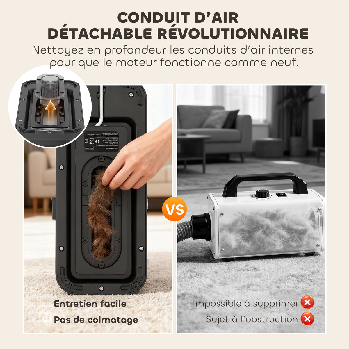 Aspirateur Poil de Chien et Séchoir 5-en-1