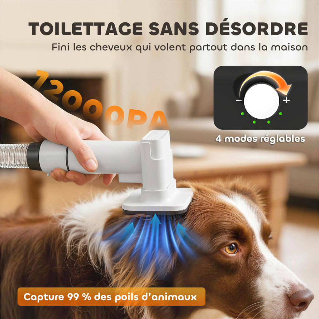 Aspirateur Poil de Chien et Séchoir 5-en-1