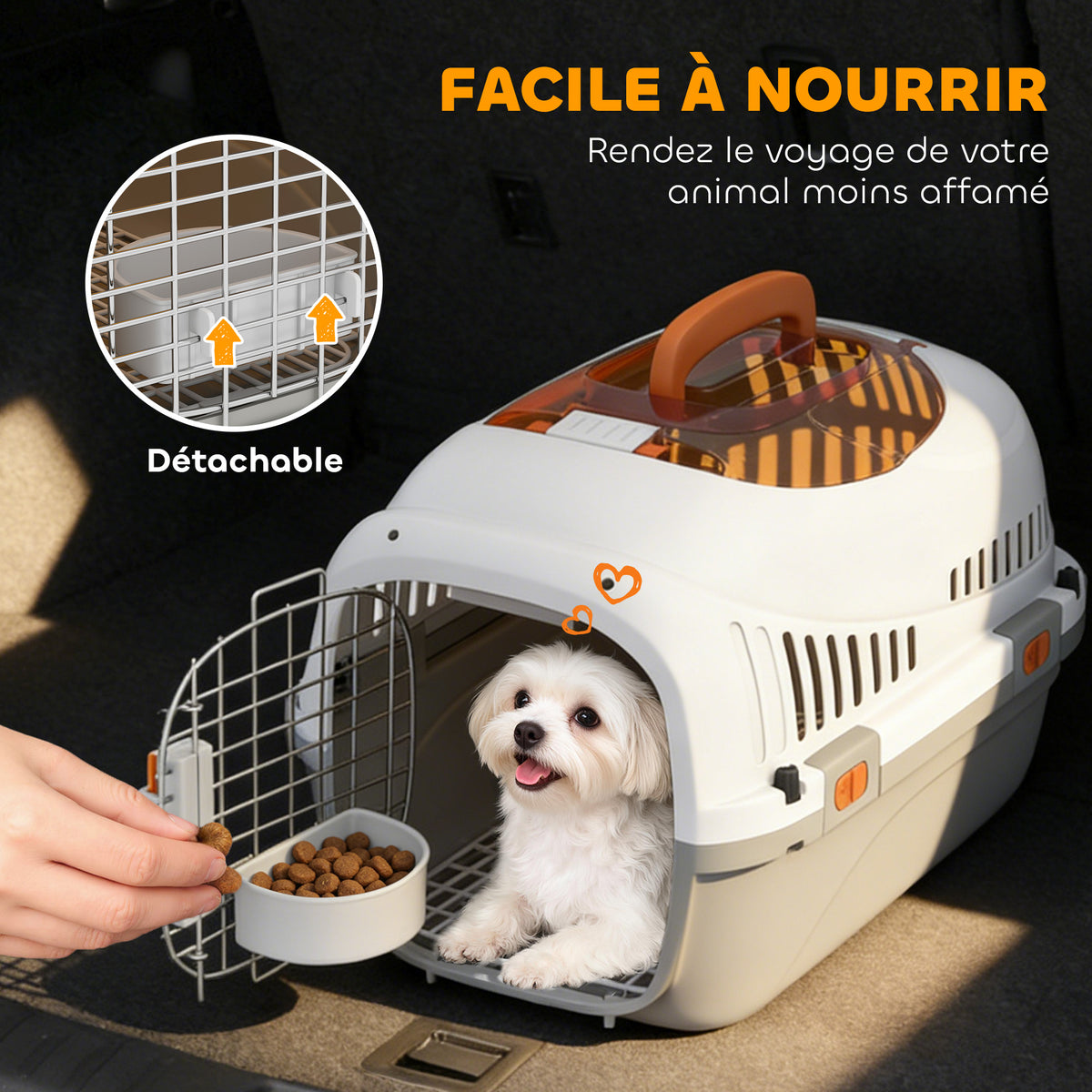 Caisse de Transport pour Chat et Chien