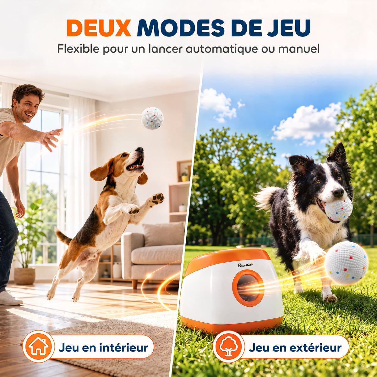 Lot de 6 Balles pour Chien
