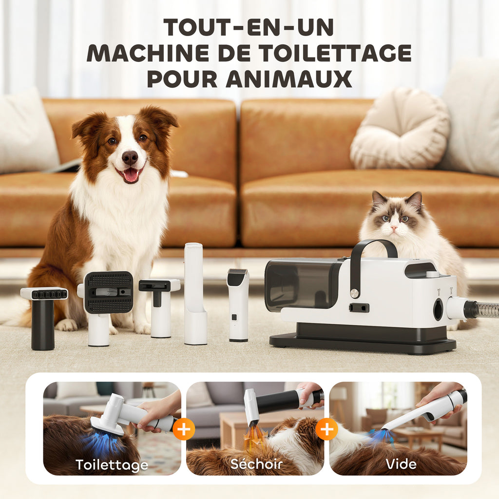 Aspirateur Poil de Chien et Séchoir 5-en-1