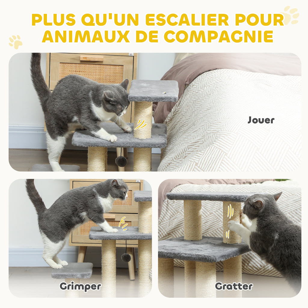 Escalier pour Animaux avec Griffoirs