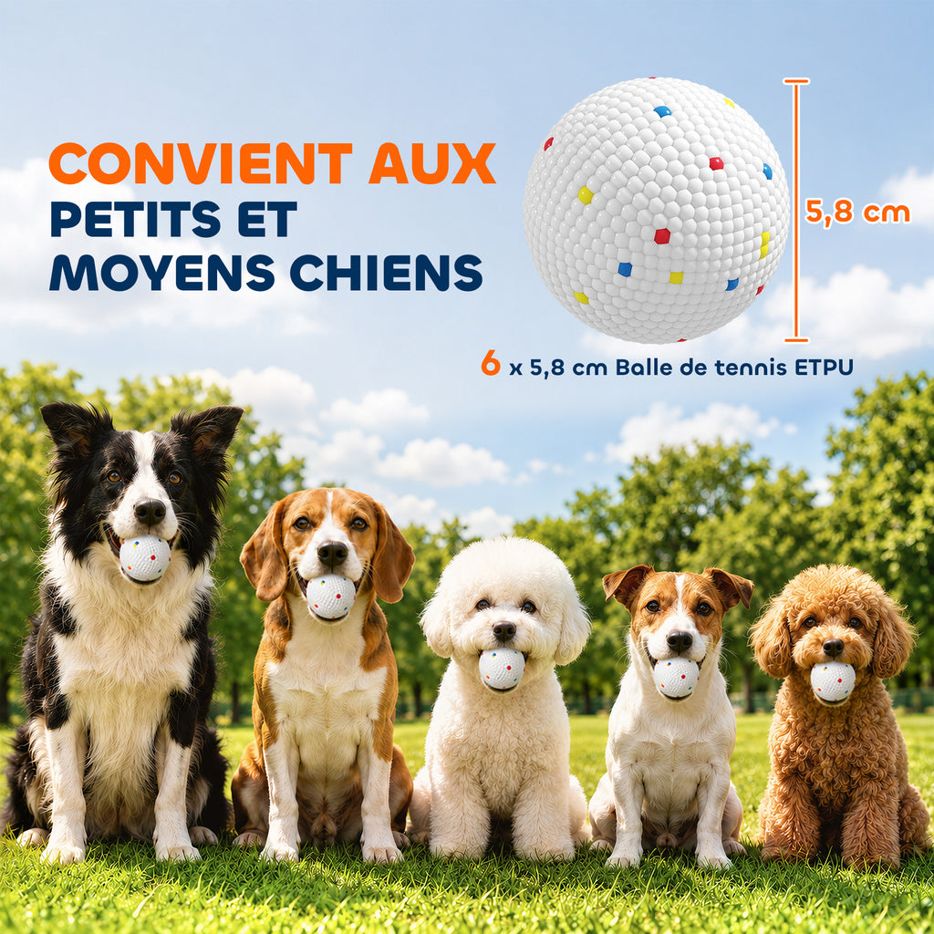 Lot de 6 Balles pour Chien