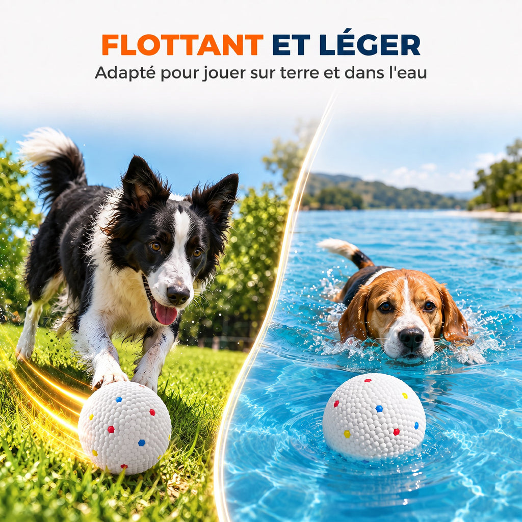 Lot de 6 Balles pour Chien