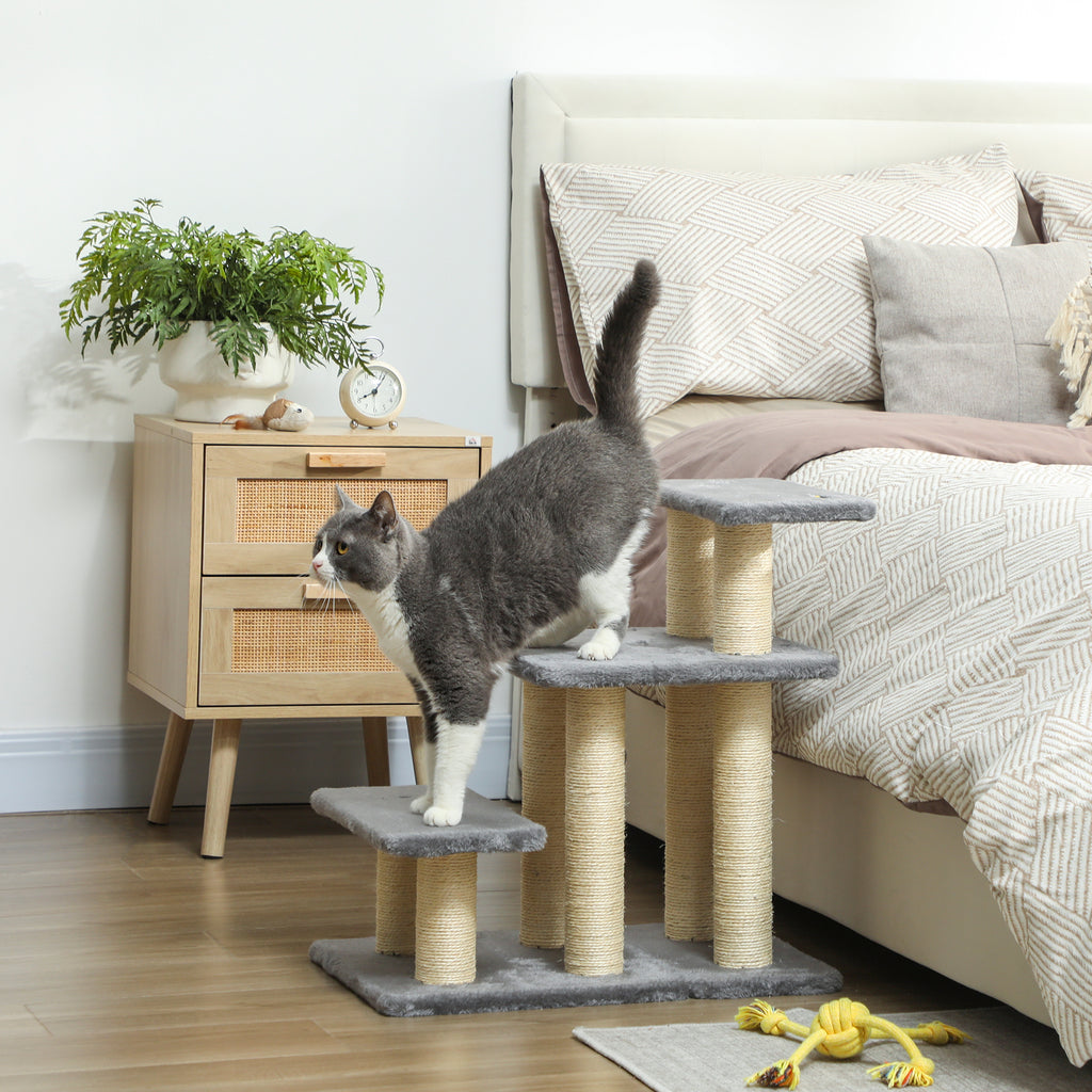 Escalier pour Animaux avec Griffoirs