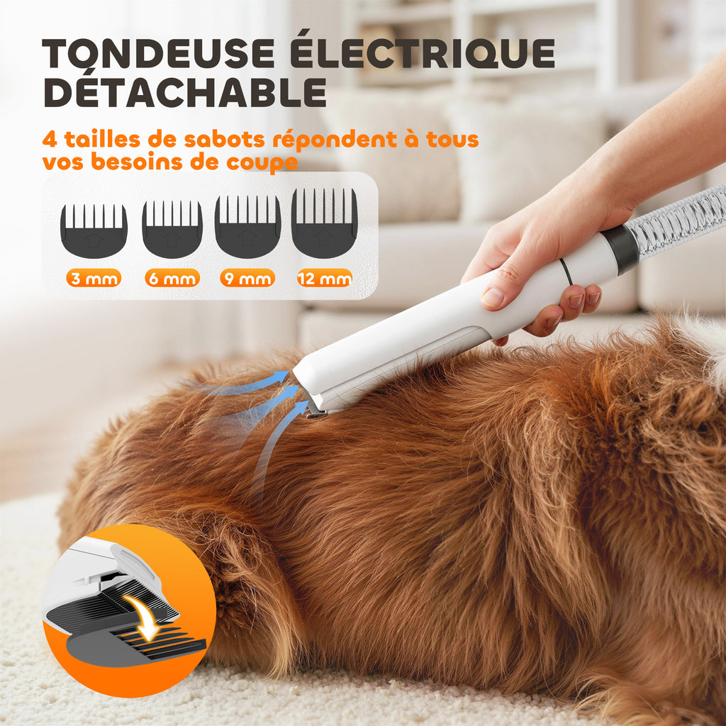 Aspirateur Poil de Chien et Séchoir 5-en-1