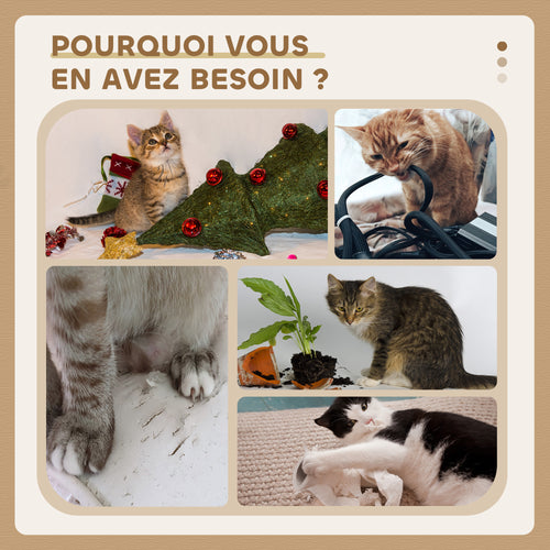 Arbre à Chat Tour de Jeux