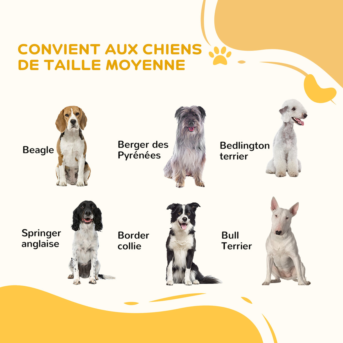Barrière de Sécurité pour Chien