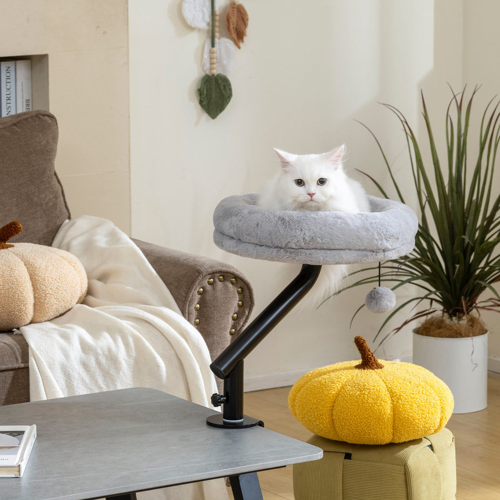 Lit de Bureau pour Chat