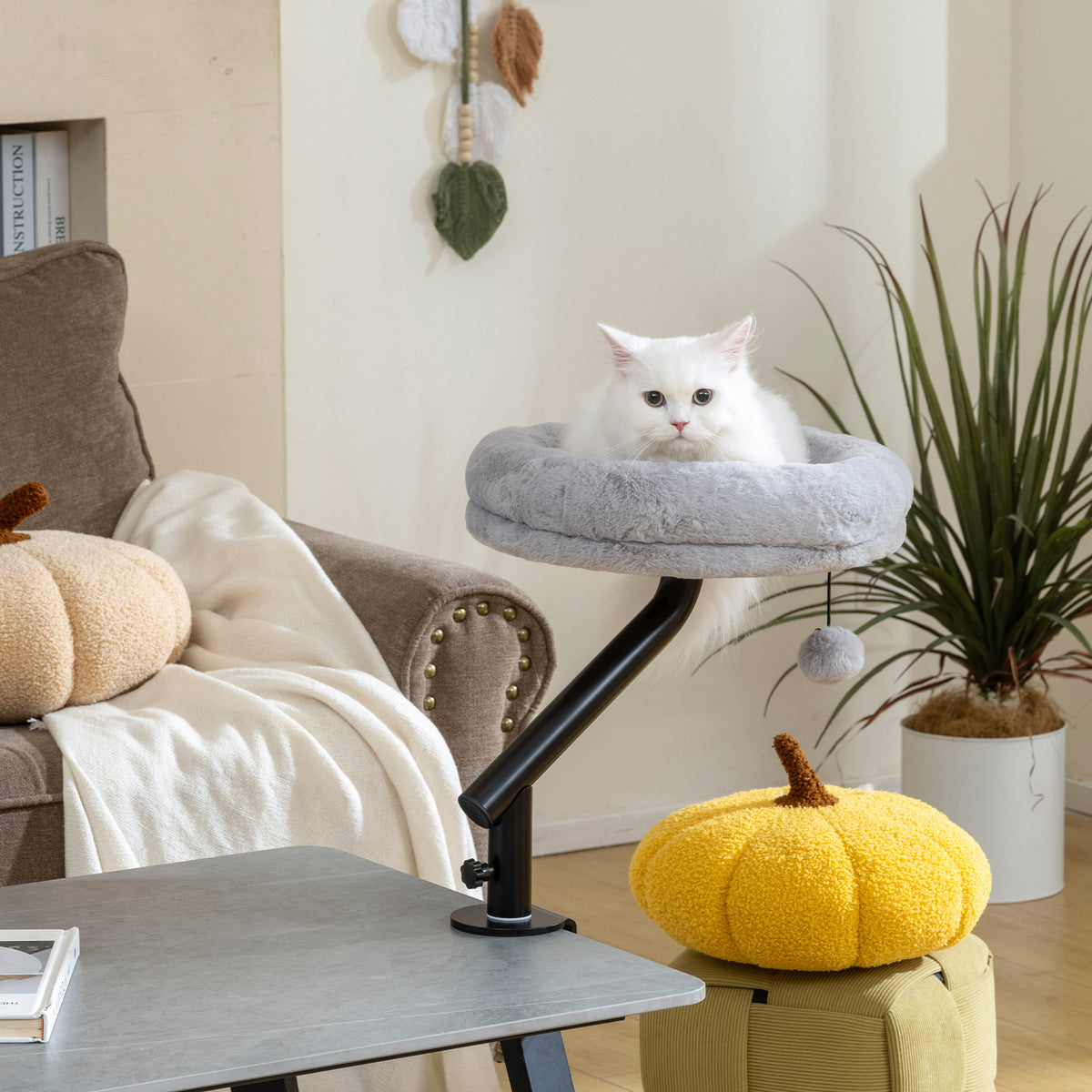 Lit de Bureau pour Chat